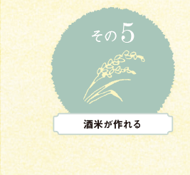 酒米が作れる